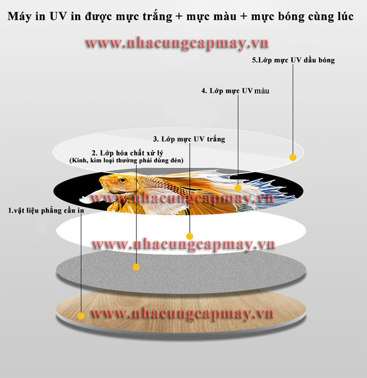 ky-thuat-in-anjpg1690123